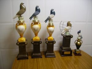 Club Esportiu La Beniarrense de Colombicultura