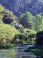 Paraje Protegido del Serpis