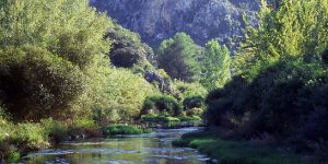 Paraje Protegit del Serpis