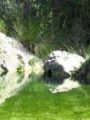 Barranc de L'Encantà